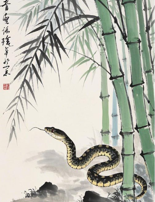 易·经属蛇本命年注意事项马竞合作伙伴侯宗原国学